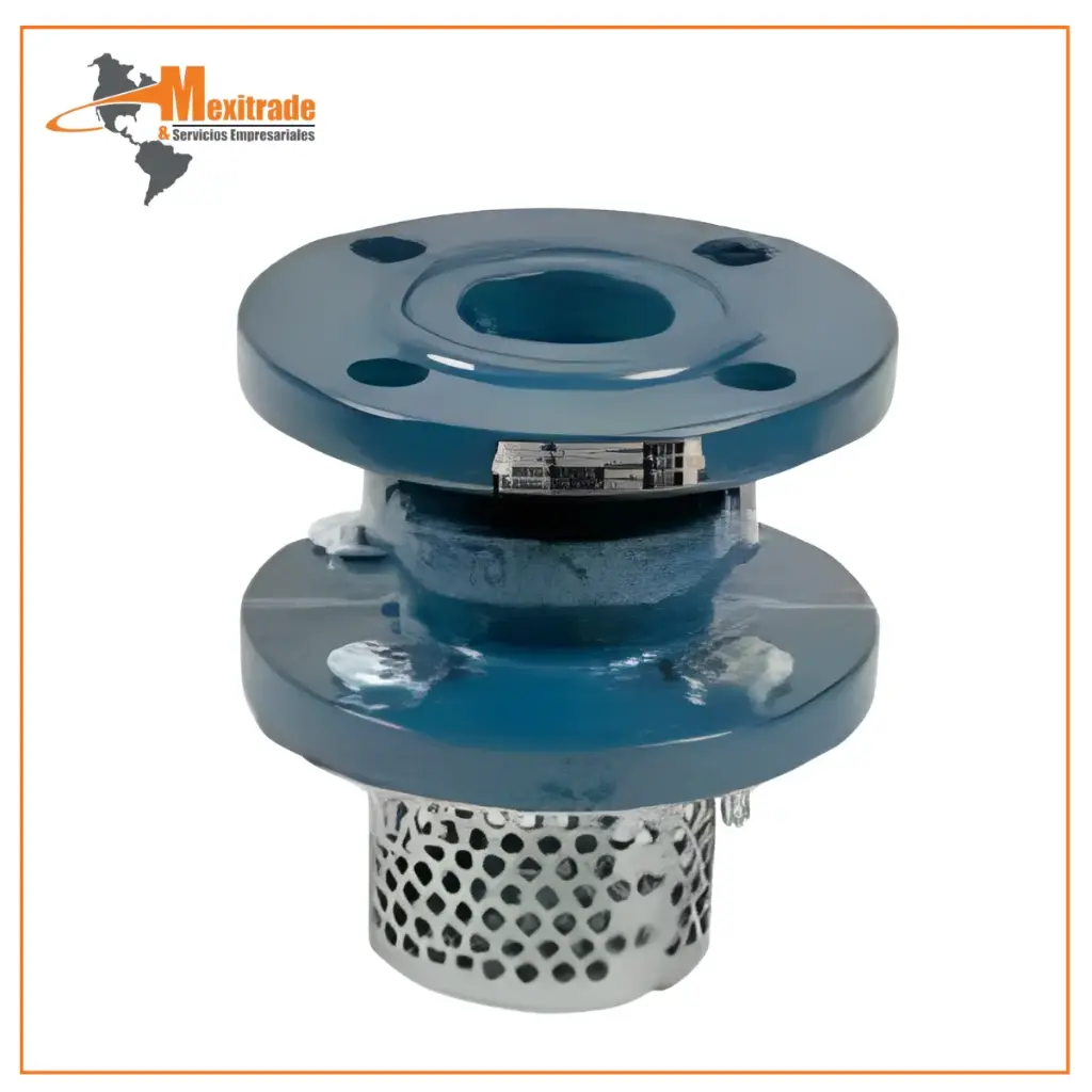 Válvula de Retención Pie TF-FV-F con Filtro – Brida DIN PN16 DN65