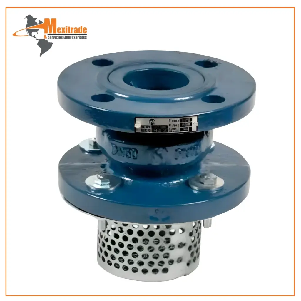 Válvula de Retención Pie TF-FV-F con Filtro – Brida DIN PN16 DN65