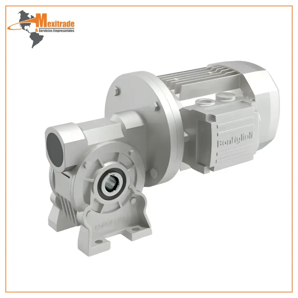 Reductor de Velocidad Bonfiglioli VF 49 – Relación 1:18 / Brida B14