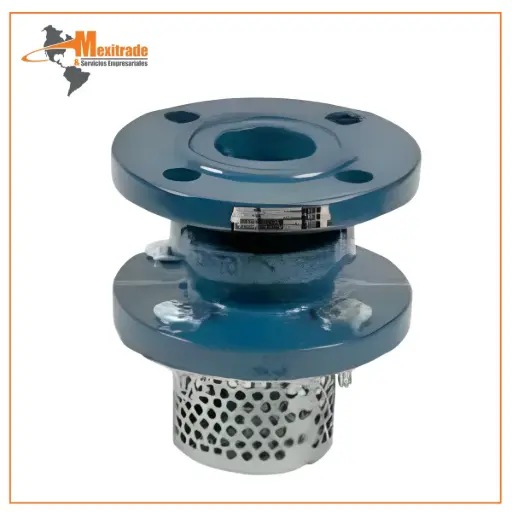 [FTV.050.4201] Válvula de Retención Pie TF-FV-F con Filtro – Brida DIN PN16 DN65